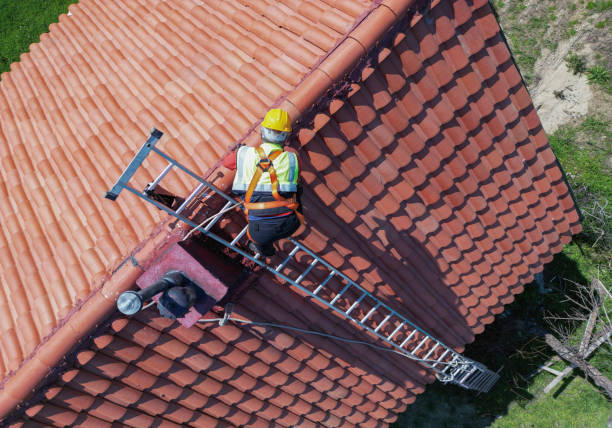 Best Gutter Installation and Repair  in Sturgeon, MO