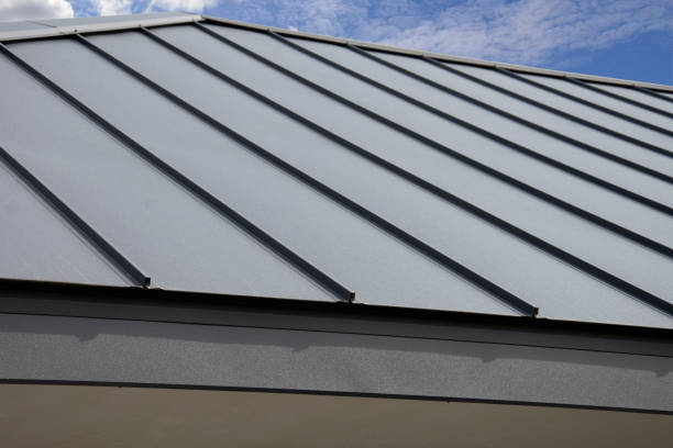 Best Roof Insulation Installation  in Sturgeon, MO